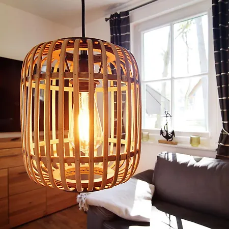 Sandregenpfeifer Zirchow