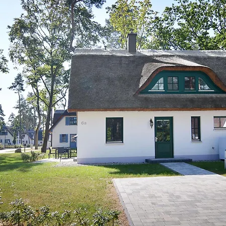 Sandregenpfeifer *