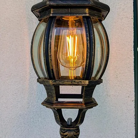 Sandregenpfeifer Ferienhaus Zirchow