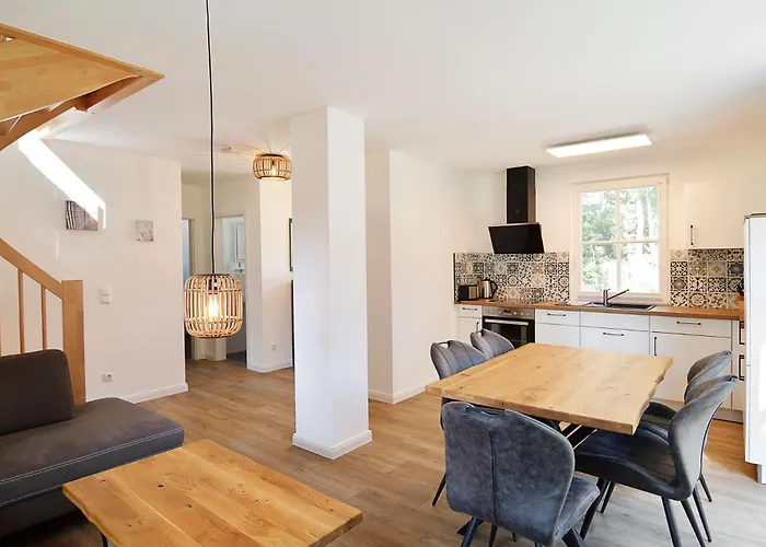 Sandregenpfeifer * Zirchow