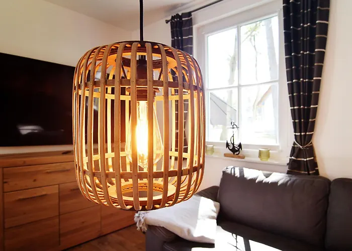 Sandregenpfeifer Zirchow