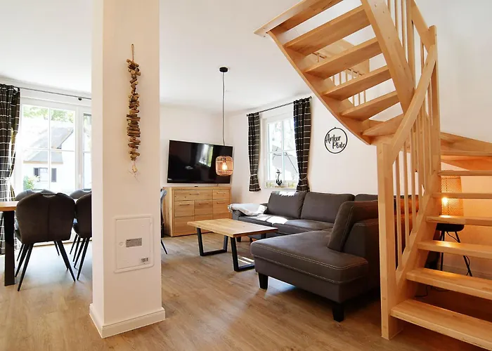 Sandregenpfeifer Zirchow