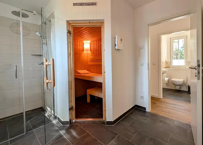 Sandregenpfeifer * Zirchow